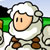 Puzzled Sheep